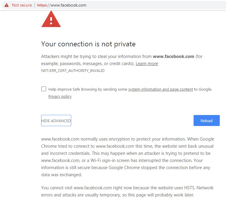 Bettercap Usage Examples XSS Attack