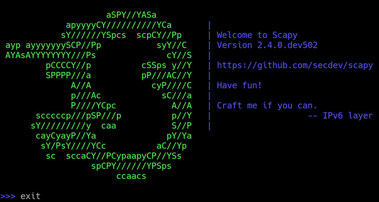 Scapy Terminal Banner