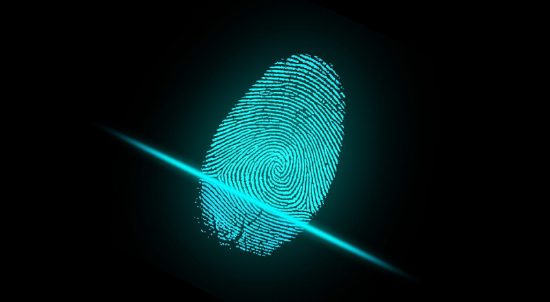 Modular Distributed Fingerprinting Engine – Scannerl Modular Distributed Fingerprinting Engine – Scannerl
