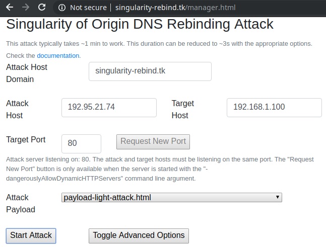 DNS Rebinding with Singularity: Manager