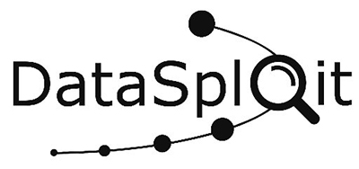 DataSploit Logo