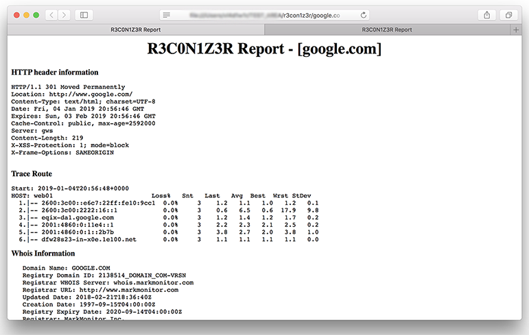 R3con1z3r report example