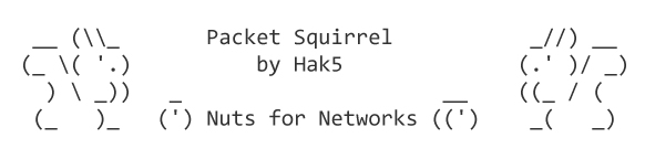 Packet Squirrel: Nuts for Networks